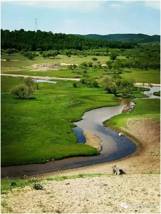 4.webp (1).jpg 4.webp (1).jpg