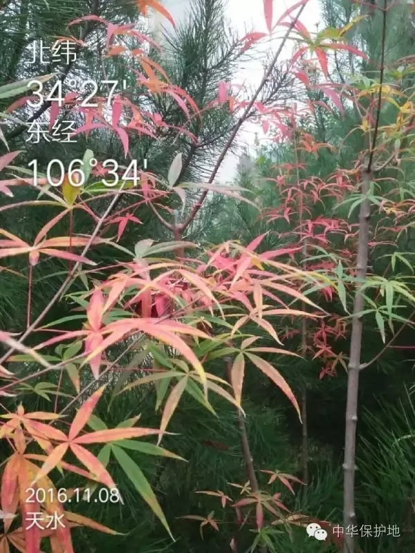 11.webp.jpg 11.webp.jpg