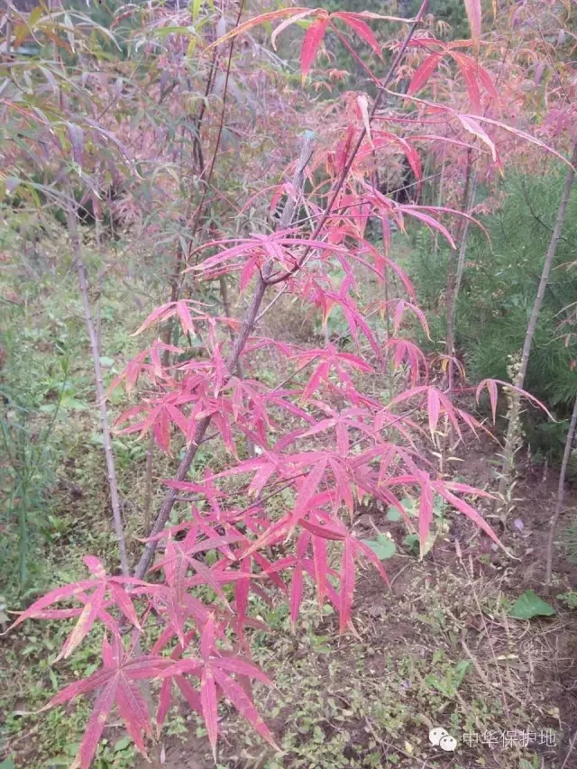 13.webp.jpg 13.webp.jpg