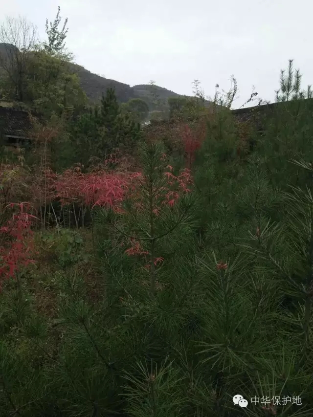 14.webp.jpg 14.webp.jpg