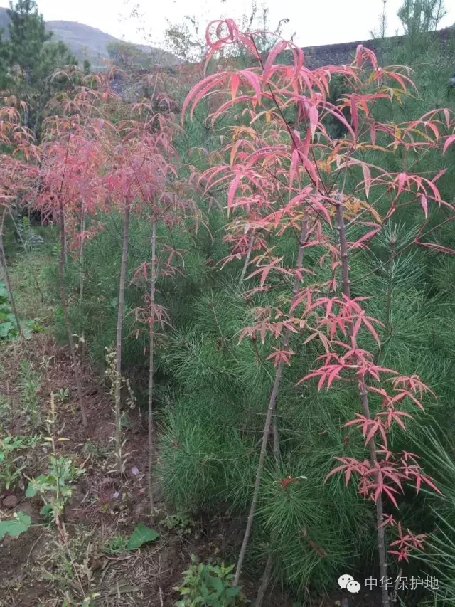 15.webp.jpg 15.webp.jpg