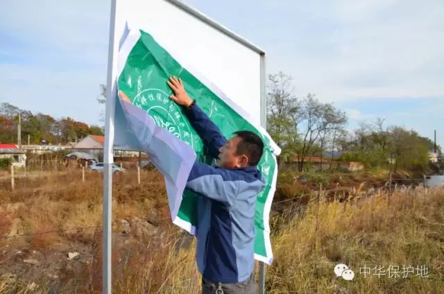 20.webp.jpg 20.webp.jpg