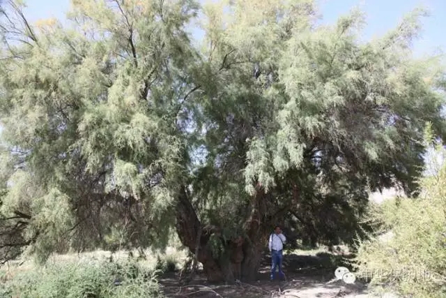 30.webp.jpg 30.webp.jpg