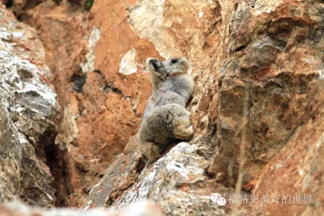 3.webp.jpg 3.webp.jpg