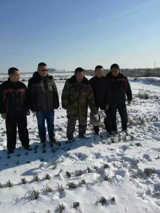 14.webp.jpg 14.webp.jpg