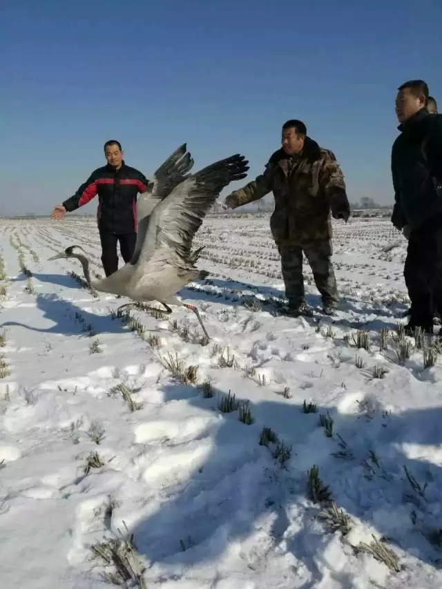 9.webp.jpg 9.webp.jpg