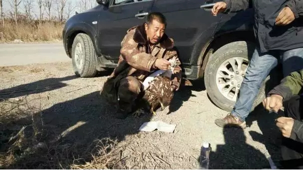 3.webp.jpg 3.webp.jpg