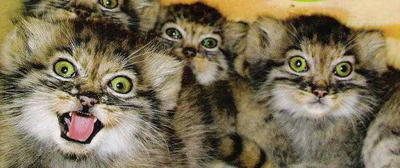 4.webp.jpg 4.webp.jpg