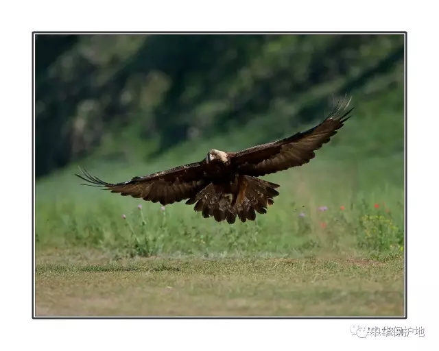 4.webp.jpg 4.webp.jpg