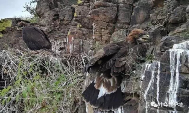 7.webp.jpg 7.webp.jpg