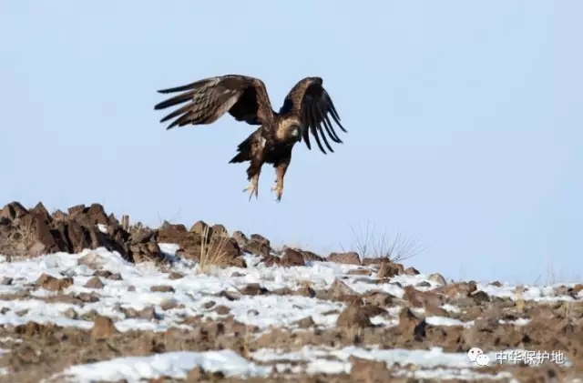 6.webp.jpg 6.webp.jpg