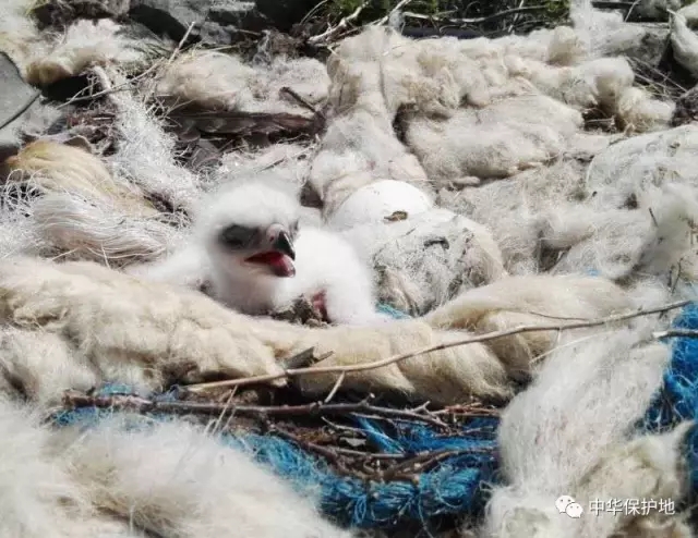 1.webp (1).jpg 1.webp (1).jpg