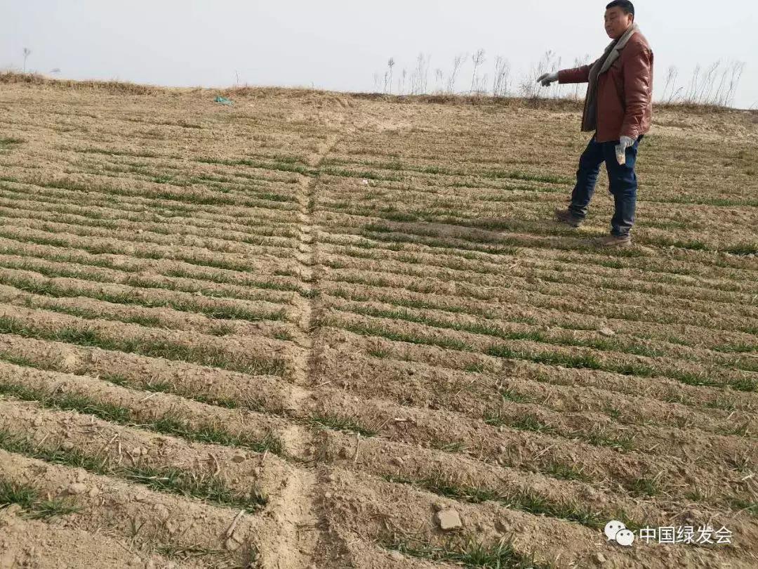 微信图片_20191126111241.jpg 微信图片_20191126111241.jpg