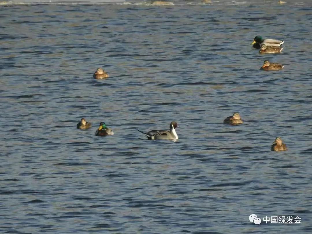 微信图片_20191126113921.jpg 微信图片_20191126113921.jpg