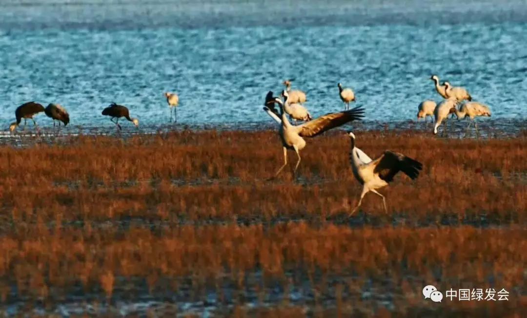 微信图片_20191126113939.jpg 微信图片_20191126113939.jpg