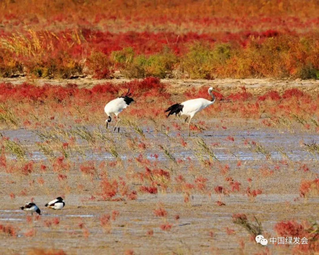 微信图片_20191126113945.jpg 微信图片_20191126113945.jpg