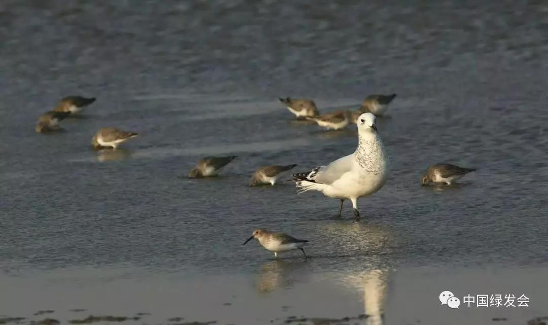 微信图片_20191126113950.jpg 微信图片_20191126113950.jpg