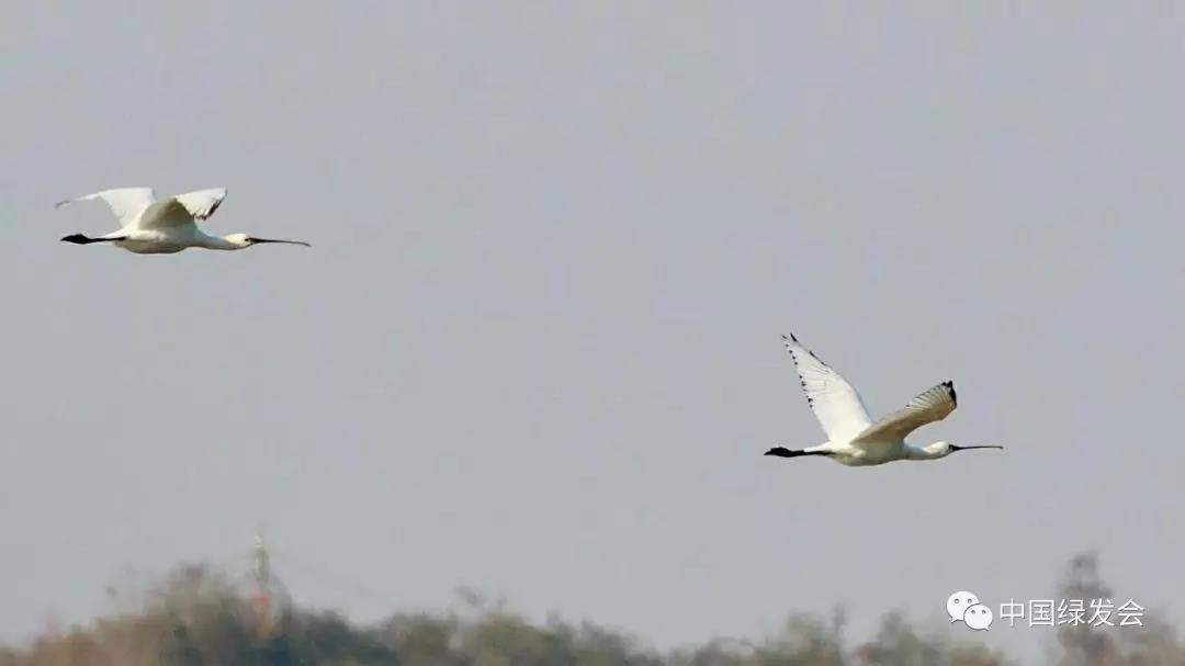 微信图片_20191126113955.jpg 微信图片_20191126113955.jpg