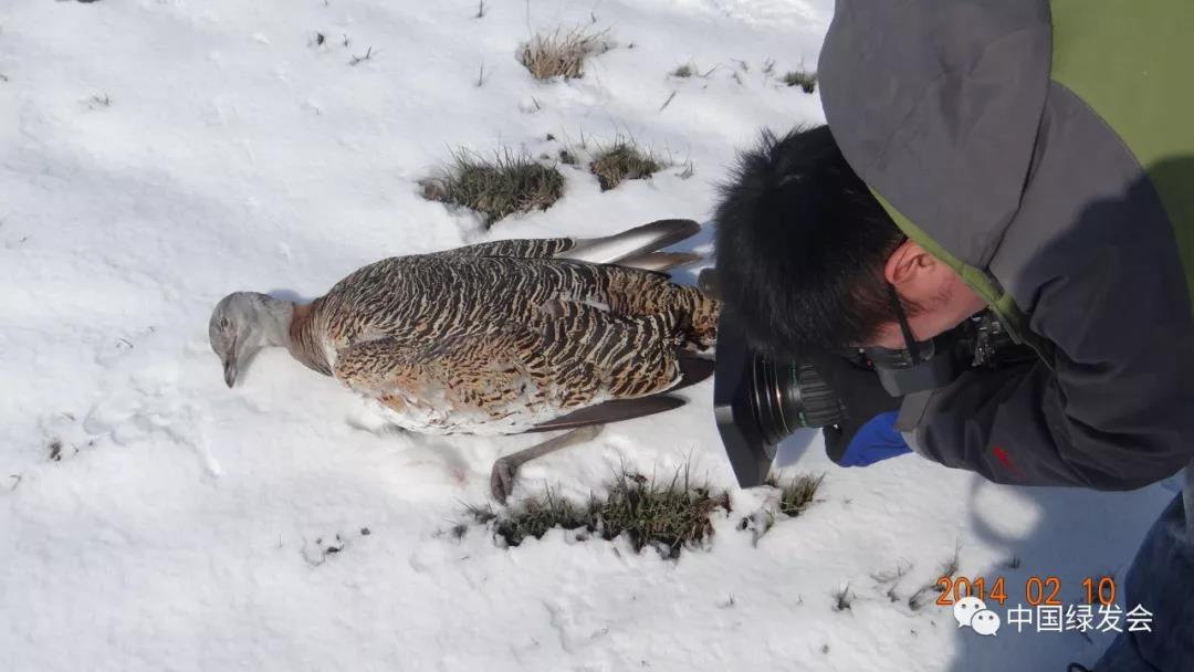 微信图片_20191126140120.jpg 微信图片_20191126140120.jpg