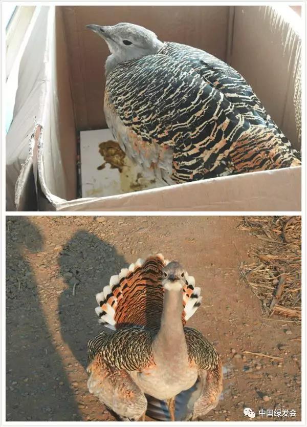 微信图片_20191126140129.jpg 微信图片_20191126140129.jpg