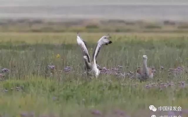 微信图片_20191126140357.jpg 微信图片_20191126140357.jpg