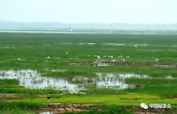 微信图片_20191126140405.jpg 微信图片_20191126140405.jpg