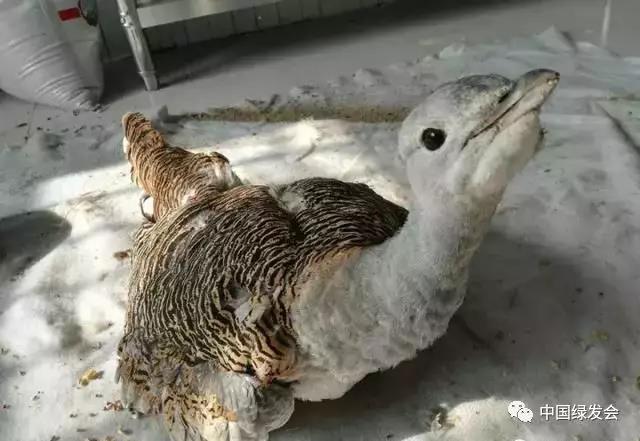 微信图片_20191126140904.jpg 微信图片_20191126140904.jpg