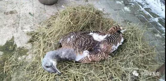 微信图片_20191126140911.jpg 微信图片_20191126140911.jpg