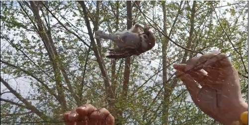 微信截图_20210531165129.png 微信截图_20210531165129.png