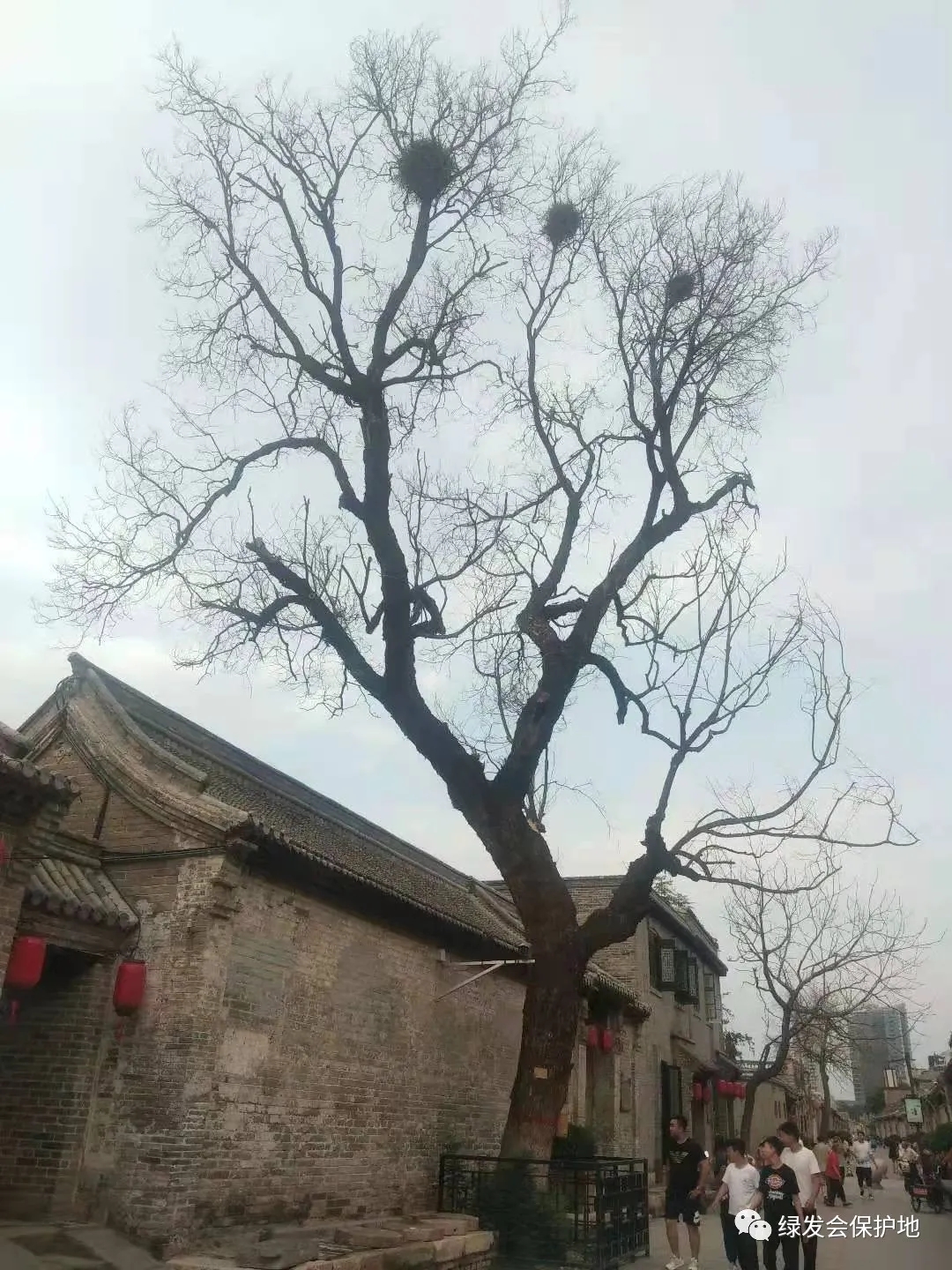 640.webp (2).jpg 640.webp (2).jpg