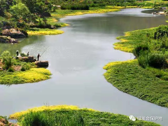 640 (1).webp.jpg 640 (1).webp.jpg