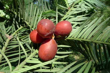 1586862.jpg 1586862.jpg