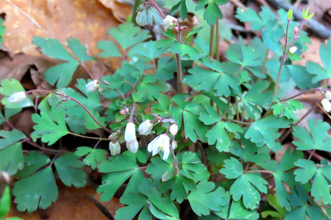 图片6.png 图片6.png