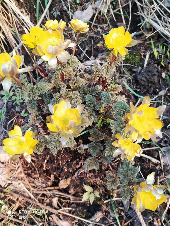 图片2.png 图片2.png