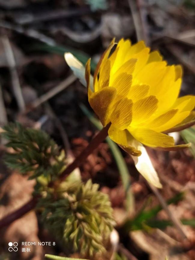 图片5.png 图片5.png