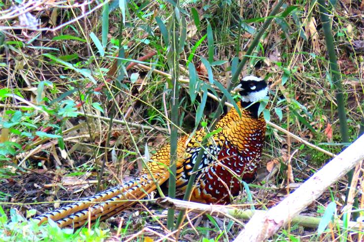 1680578851(2).png 1680578851(2).png