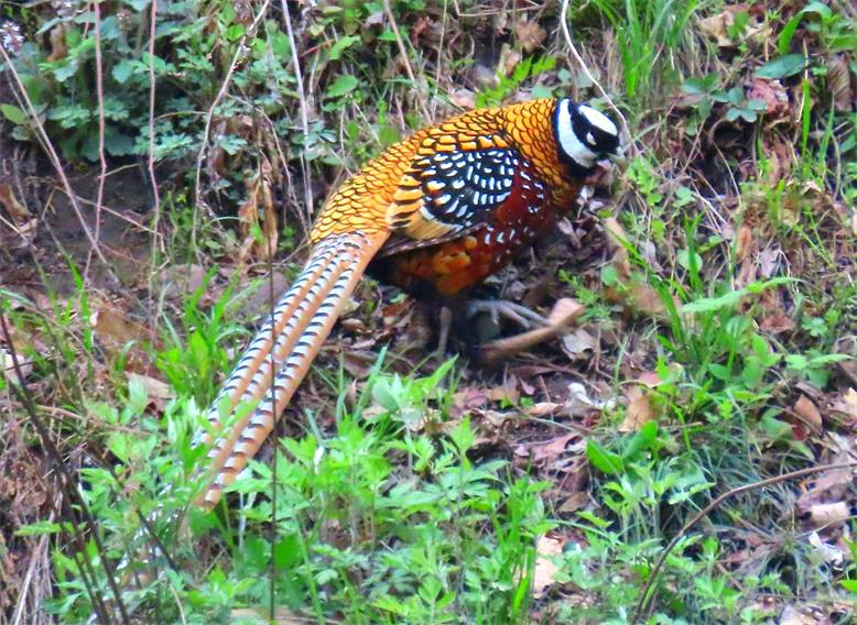 1680578808(3).png 1680578808(3).png