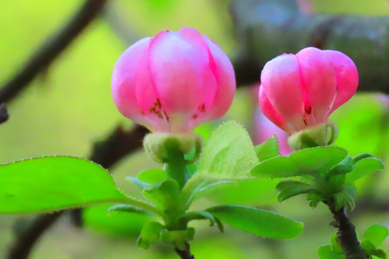 图片2.png 图片2.png