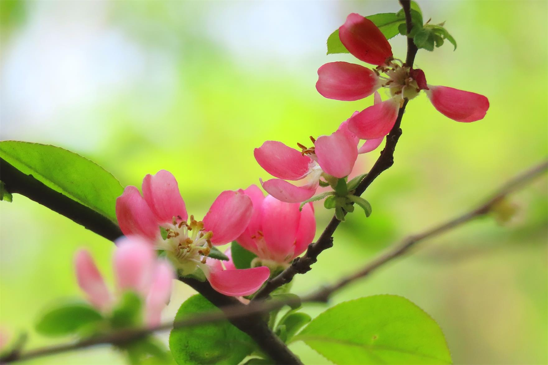 图片3.png 图片3.png