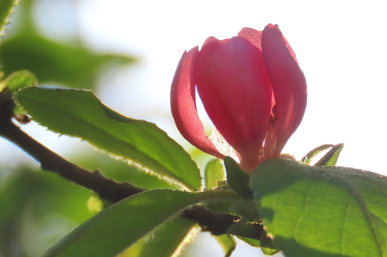 图片4.png 图片4.png