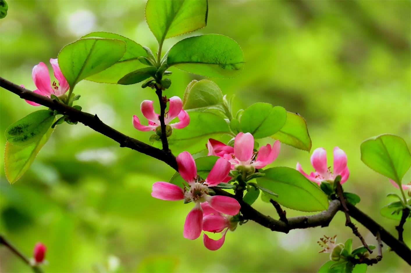 图片5.png 图片5.png