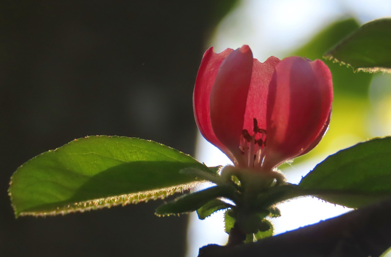 图片6.png 图片6.png