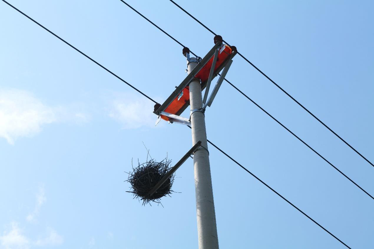 候鸟生命线二期培训图片2.png 候鸟生命线二期培训图片2.png