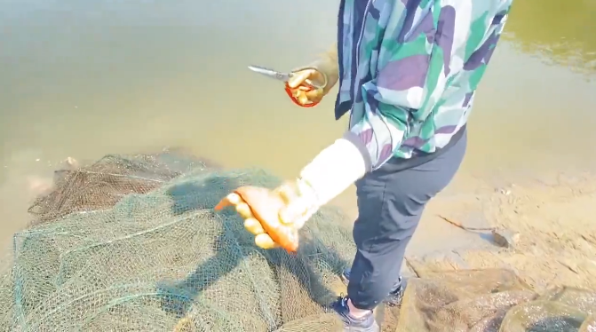 企业微信截图_20230628113925.png 企业微信截图_20230628113925.png