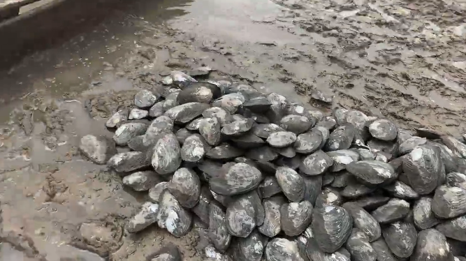 企业微信截图_20230628114155.png 企业微信截图_20230628114155.png