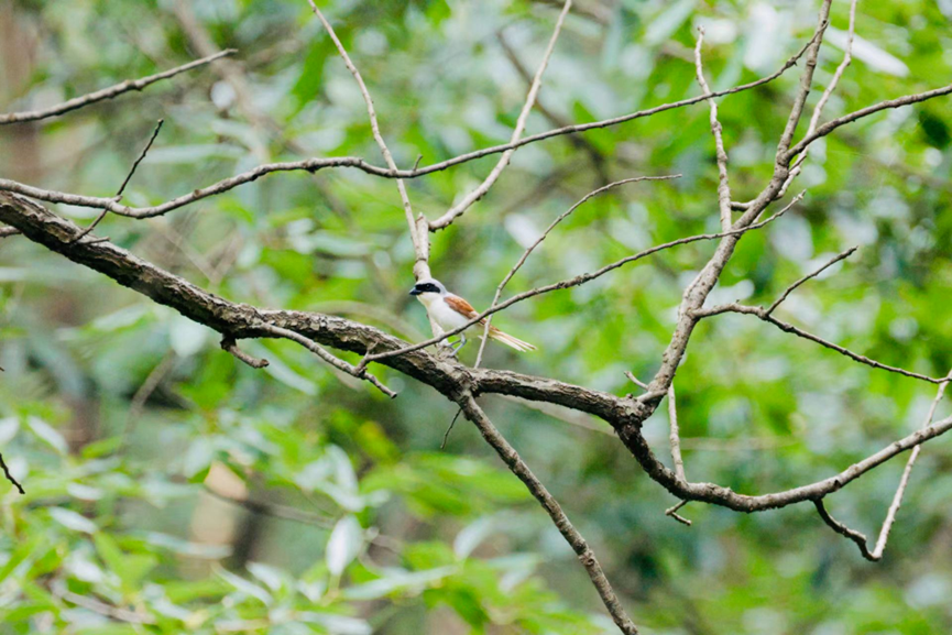 1702457554801.png 1702457554801.png